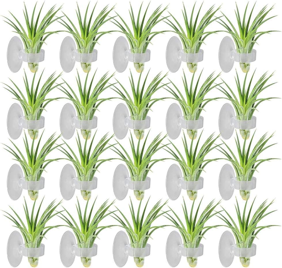Picowe 20Pack Air Plant Holder Silicone Holder with Suction Cup for Air Pineapple Tillandsia Tiny Succulents on Glass Home Decor Display