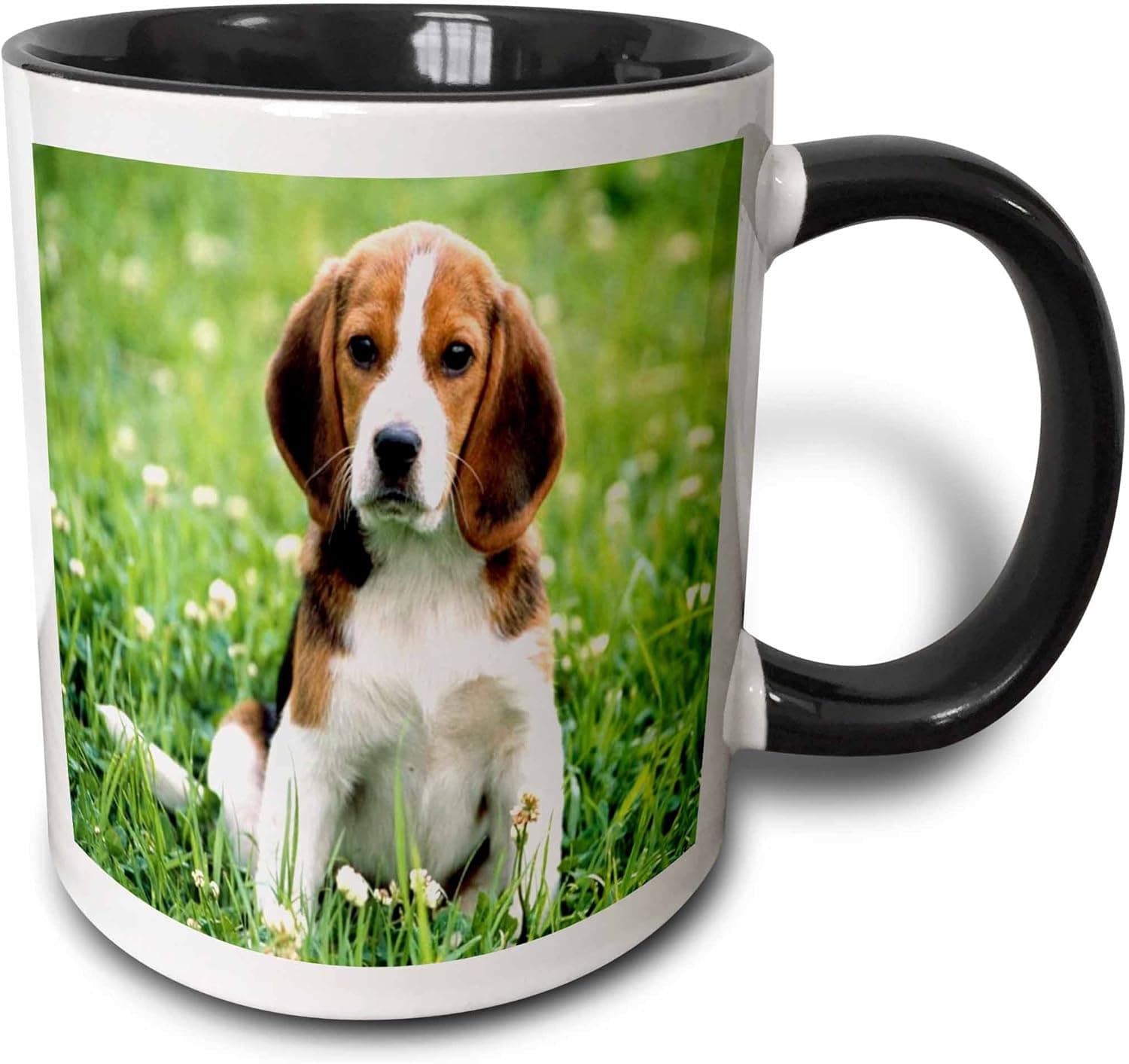 3dRose mug_55198_4 "For Love Of A Beagle" Two Tone Black Mug, 11 oz, Multicolor