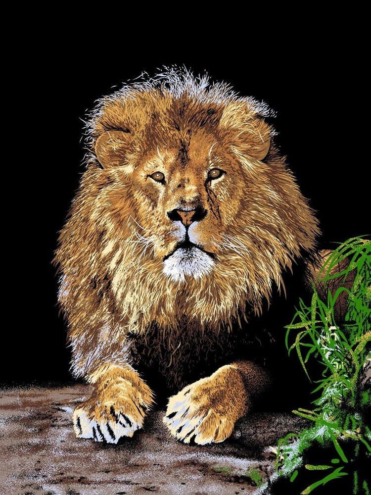 Shavel Home 60-by-80-Inch Hi Pile Throw, Lion Portrait