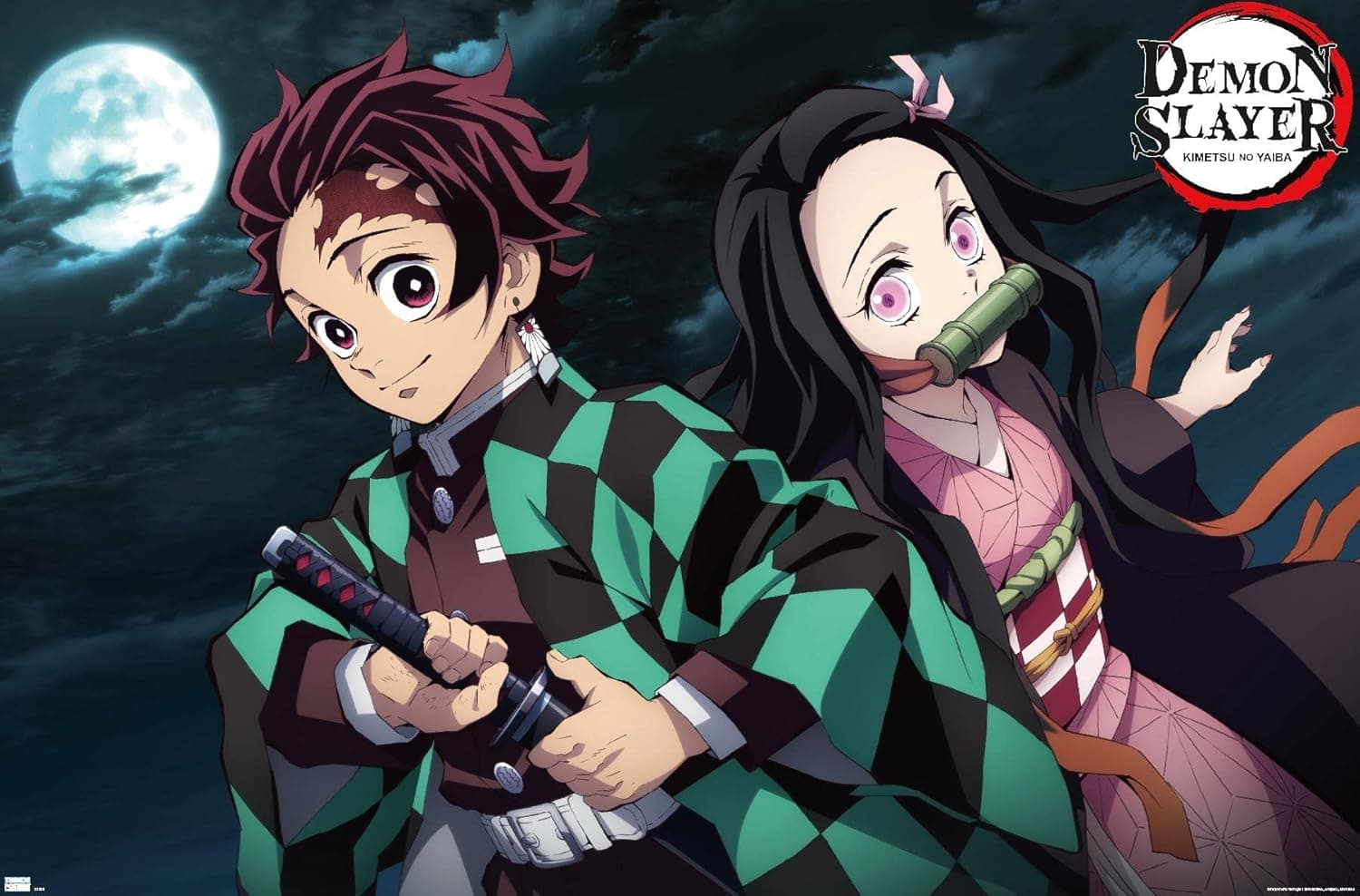 Trends International Demon Slayer - Tanjiro & Nezuko Night Wall Poster, 22.375" x 34", Unframed Version