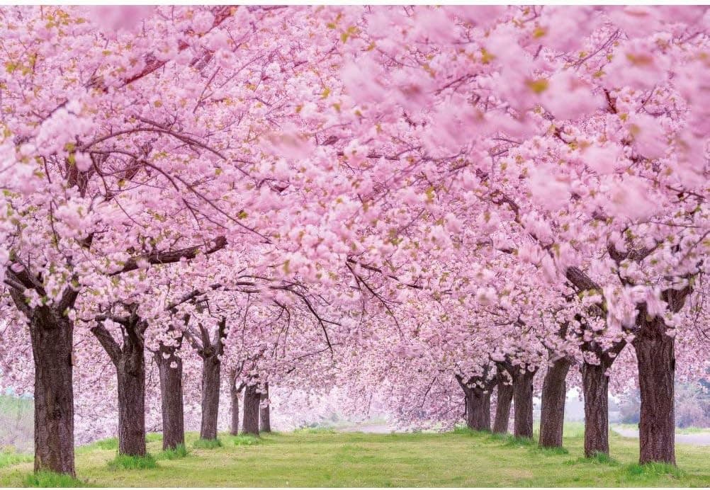 Pink Flower Trees 7x5ft Romantic Valentine's Day Backdrops for Photography Spring Scenery Cherry Blossom Wedding Background Girls Women Portrait Themed Party Decor Picnic Banner Studio Props Vinyl