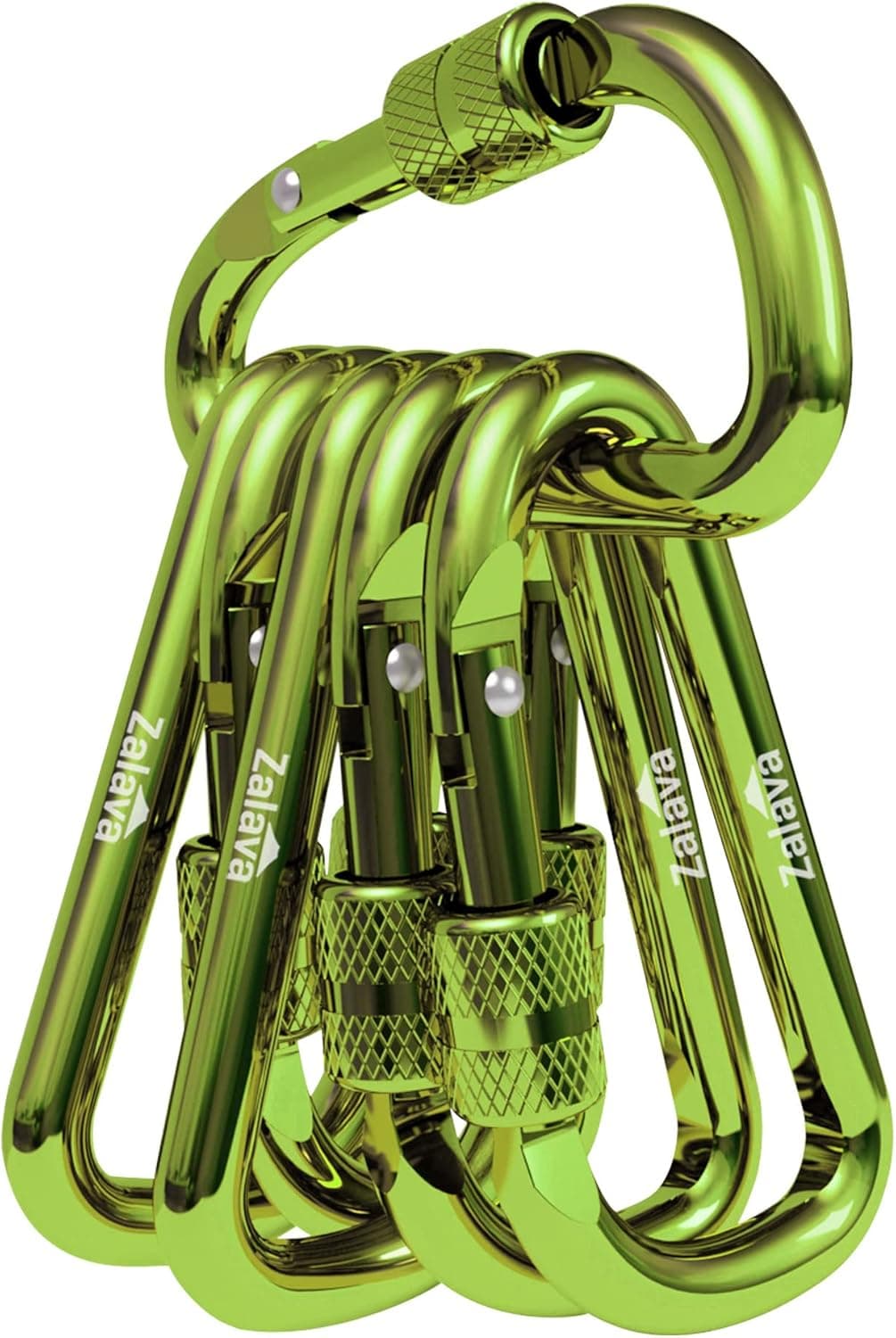 Zalava 6pcs 2”D-Clip Durable Locking Carabiner Keychain Clip,Keychain Clip Hook