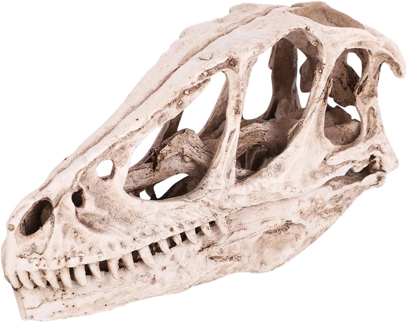 Pilipane Resin Dinosaur Skull Model, Simulated Animal Skeleton Home Office Decor Craft Teaching Prop for Home Office Decor Craft Teaching Prop