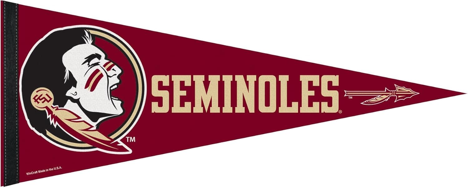 WINAV NCAA Florida State Seminols Premium Pennant, 12 x 30, Team Color