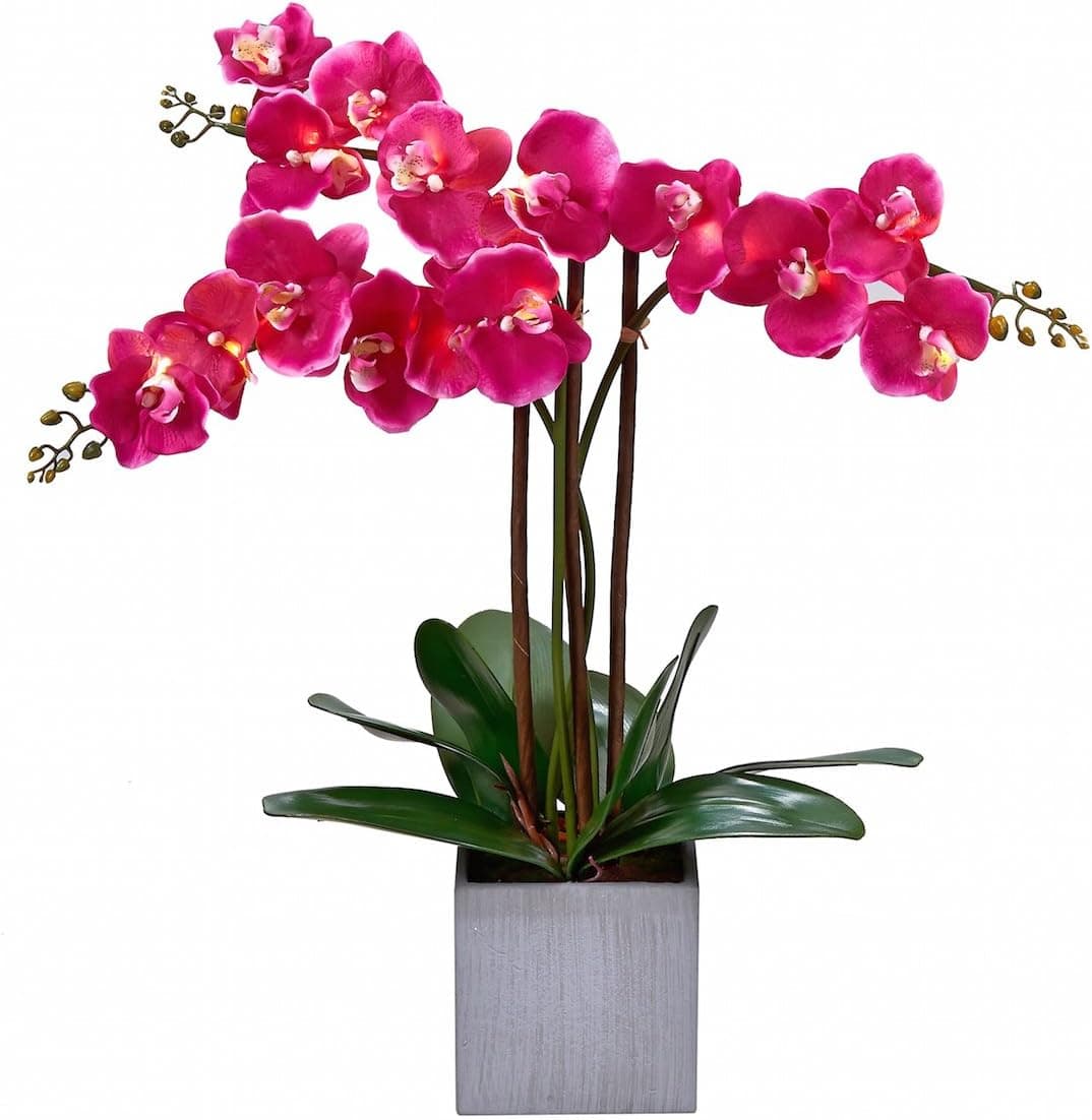 Homeseasons LED Pre-Lit Triple Stem Phalaenopsis Silk Phalaenopsis Arrangement-Battery Operated Lighted Artificial Orchid Plant(Purple)