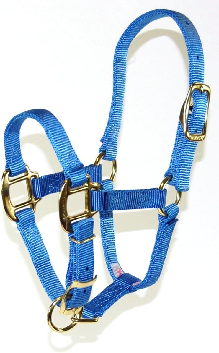 Hamilton 3/4" Adjustable Quality Horse Halter, Pony, Berry Blue