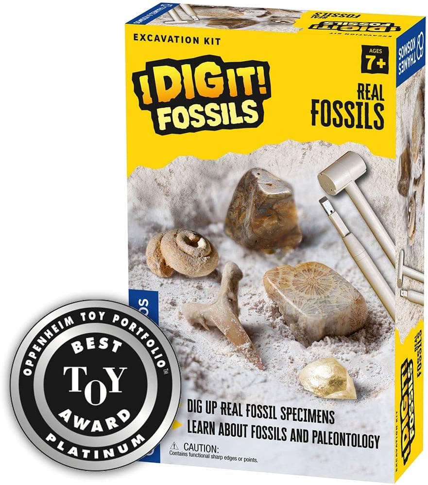 Thames & Kosmos I Dig It! Fossils - Real Fossils Excavation Kit | Science Experiment Kit | Excavate Real Fossil Specimens | Paleontology | 2018 Oppenheim Toy Portfolio Platinum Award