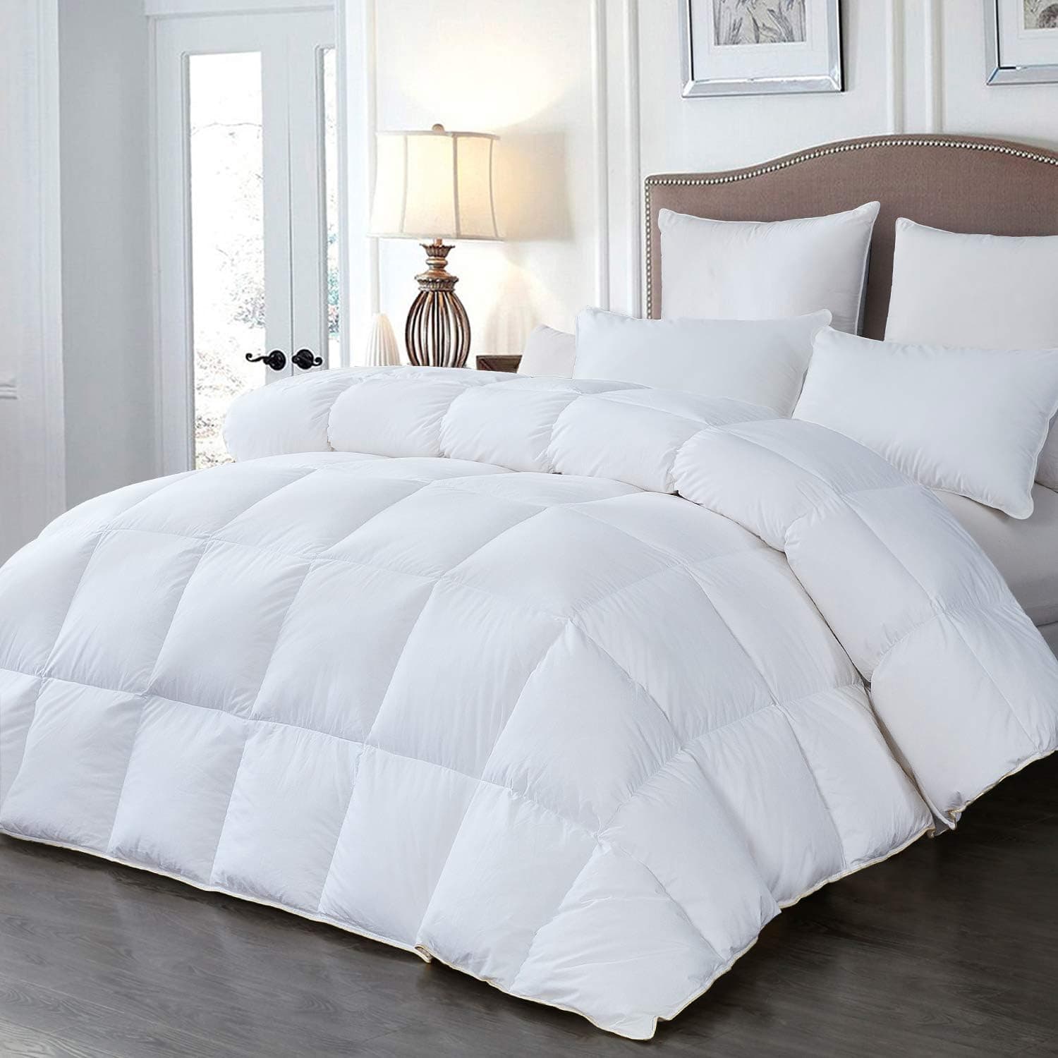 Luxurious All Season White Goose Down Comforter Duvet Insert King Size, Hypoallergenic (Twin(68" x 90"), White)