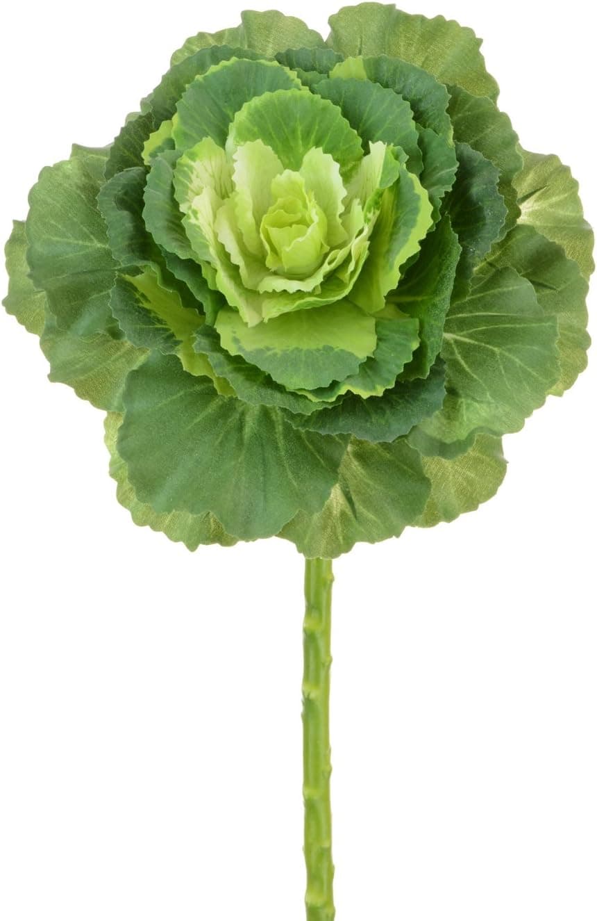 Floristrywarehouse Artificial Brassica Ornamental Cabbage Stem 18 Inches Green