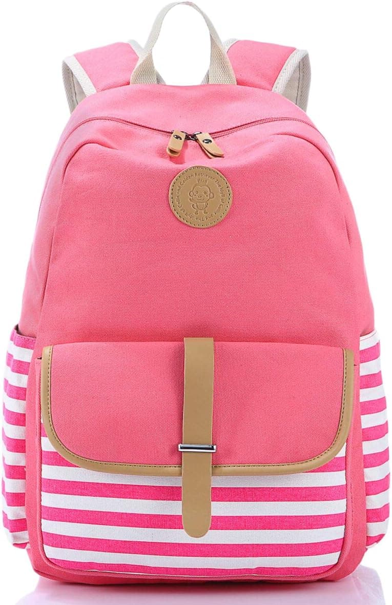 School Backpack, Aiduy Student Canvas Bookbag Lightweight Laptop Bag for Teen Boys and Girls (Pink)