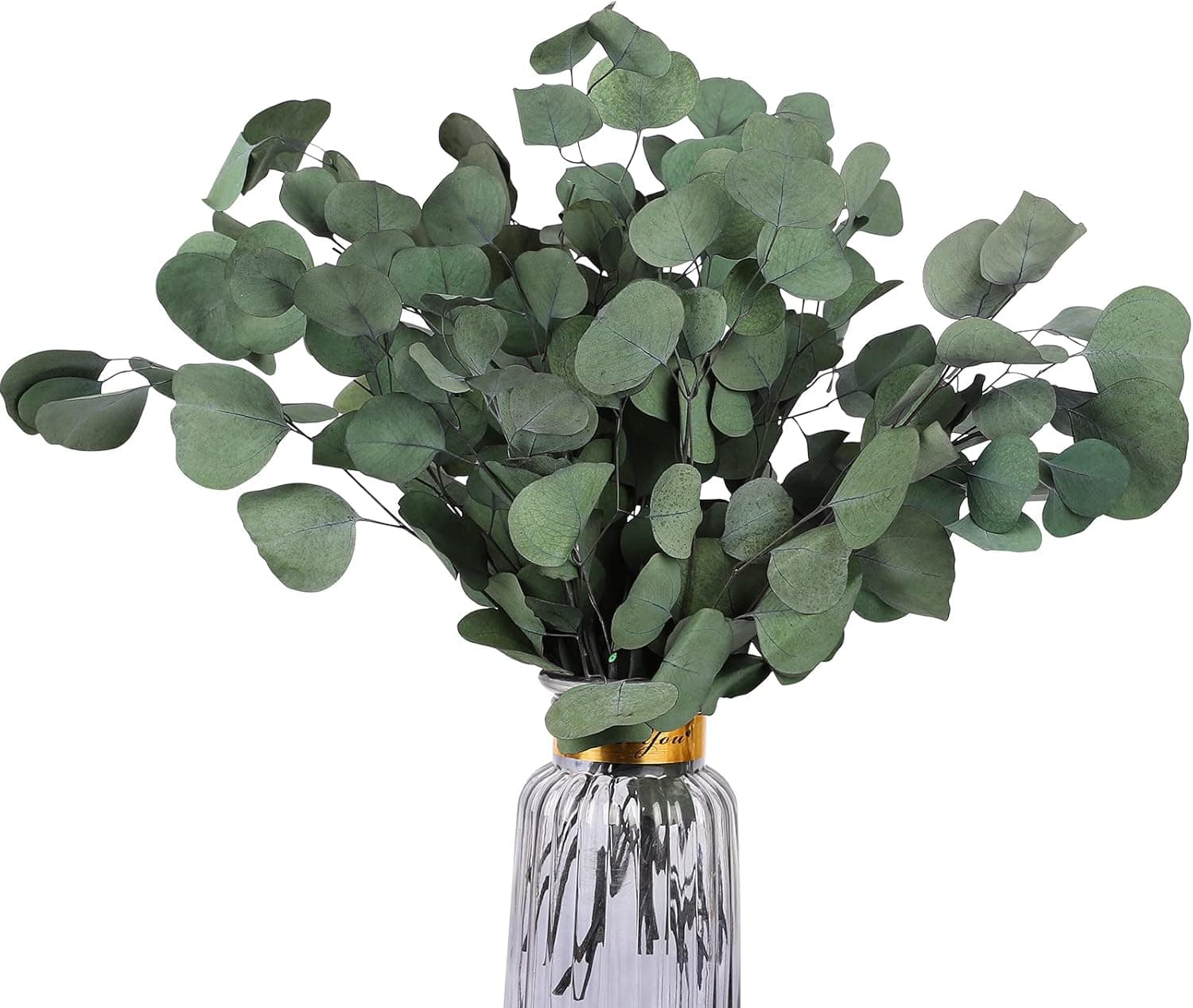 Real Eucalyptus Stems: 20PCS 15-18" Dried Eucalyptus Leaves - Real Eucalyptus Leaves for Shower - Spring Decor for Aromatherapy Wedding Home Party Christmas Decor Air Purification