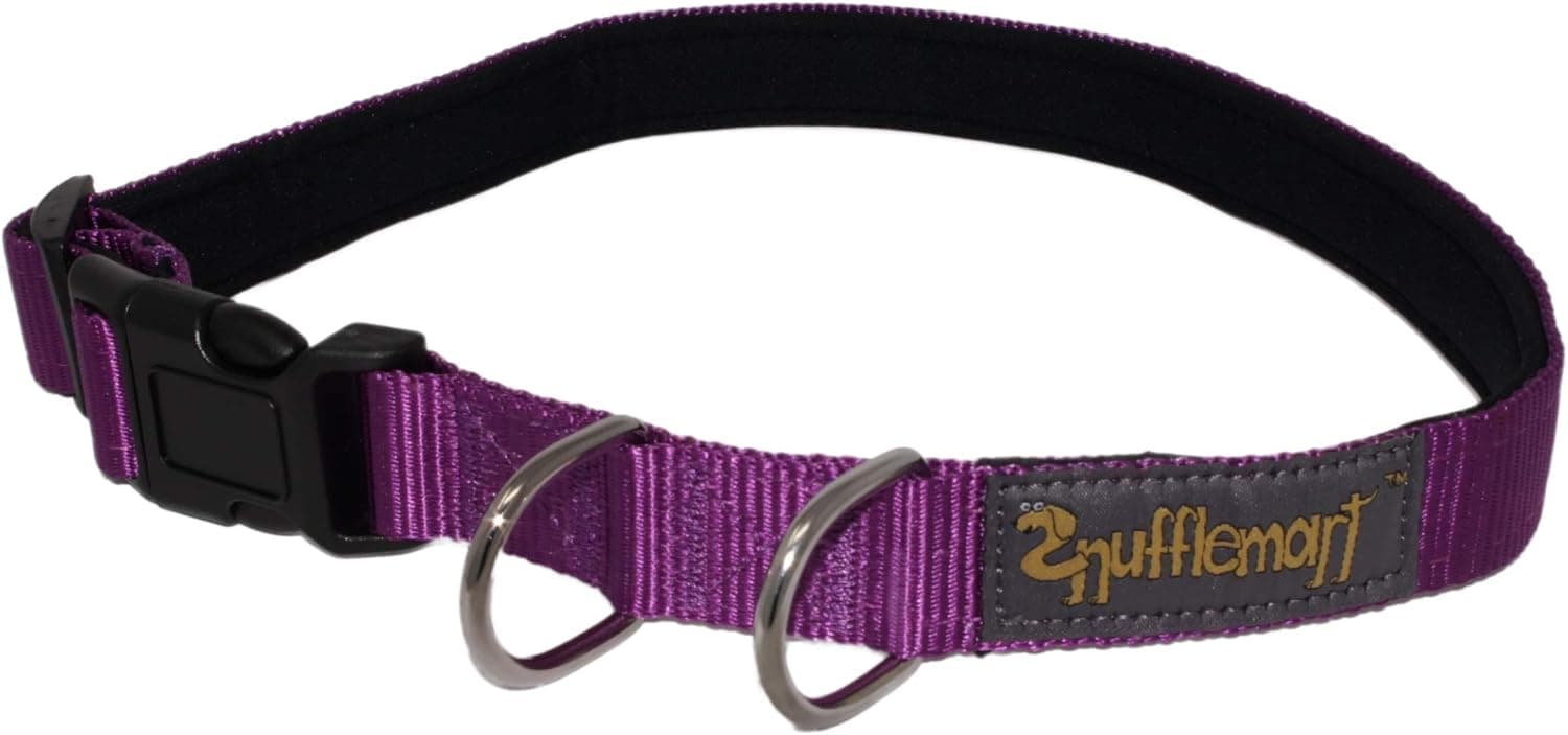 Pet-Safety Nylon Dog Collar for Large Dogs 16-26" Neck Sizes, Adjustable Sturdy Nylon Collar with Neoprene Padding, Comfort for Your Dog's Neck, Stay Organized with 2 Separate D-Rings - Large Purple