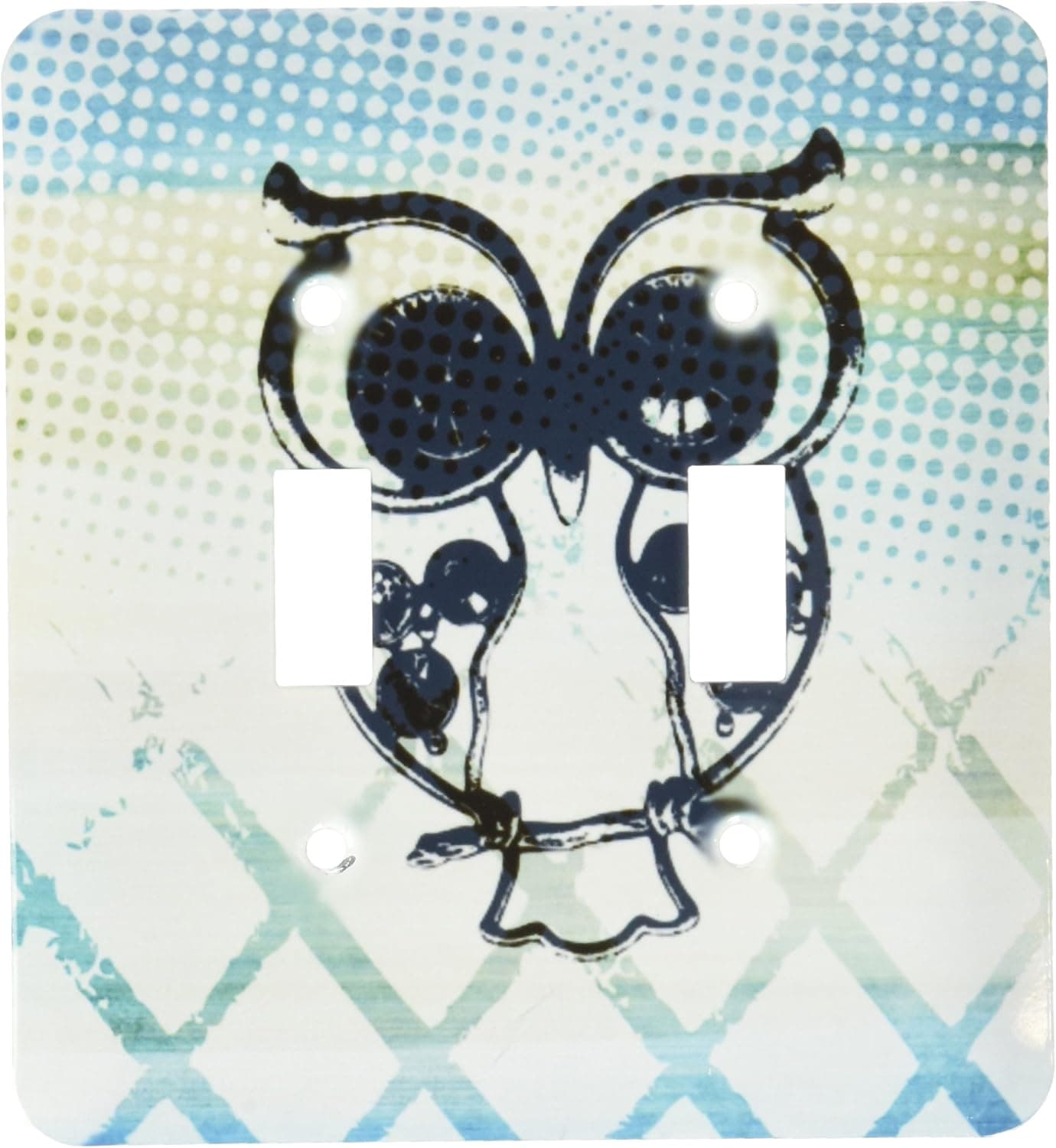3dRose LLC lsp_152060_2 Aqua Owl Steam Punk Retro Art Double Toggle Switch