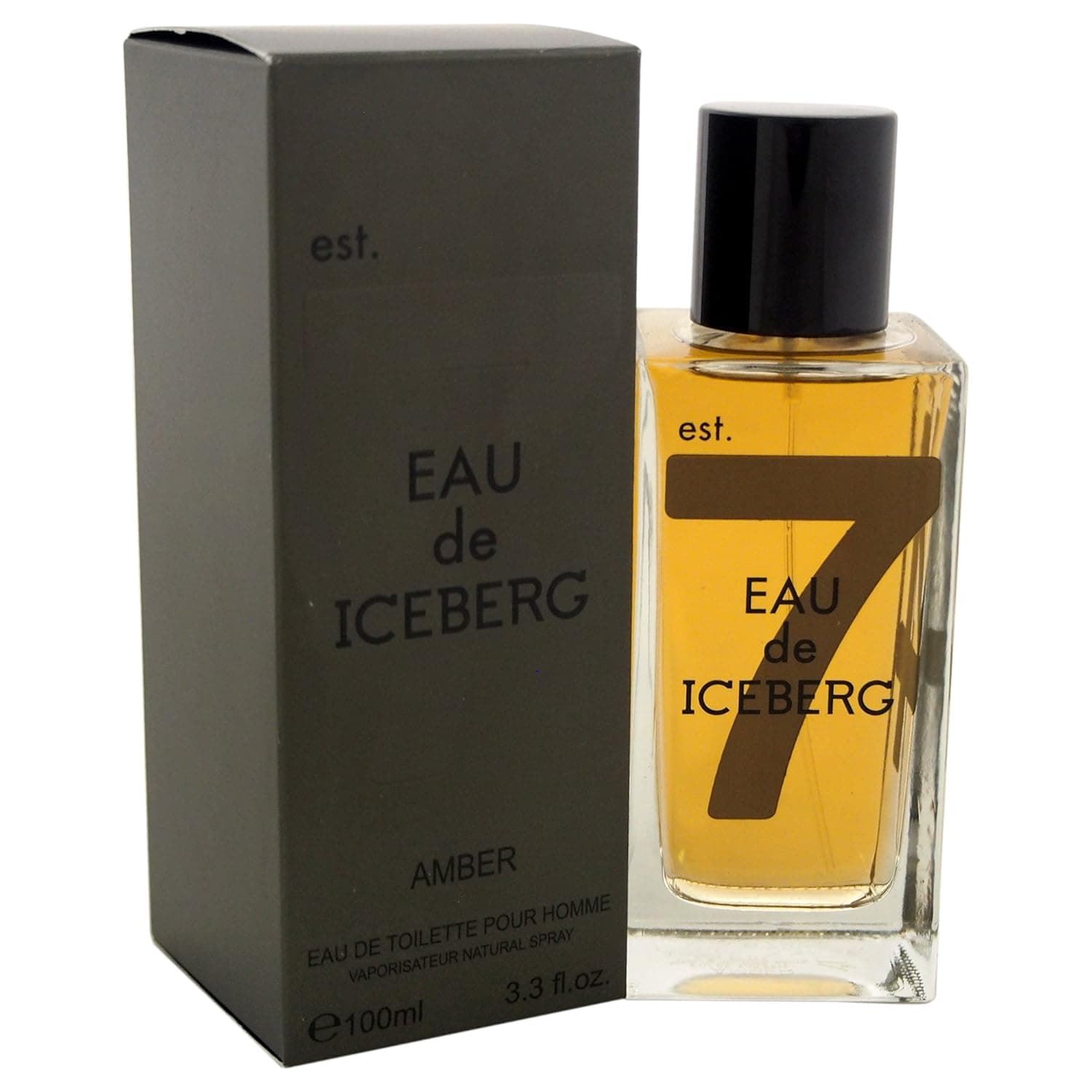 Iceberg Men's Eau de Toilette Spray, Amber, 3.3 Ounce