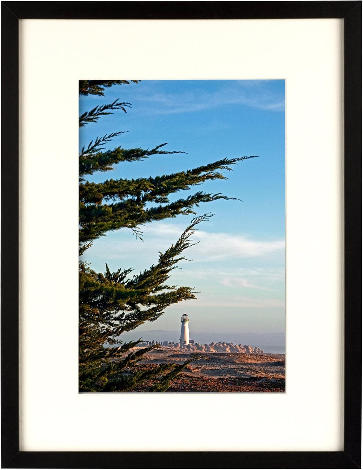 Structural Industries Picture Frame to Display Photos, Wall Mount, Black Wood, 12" x 16"