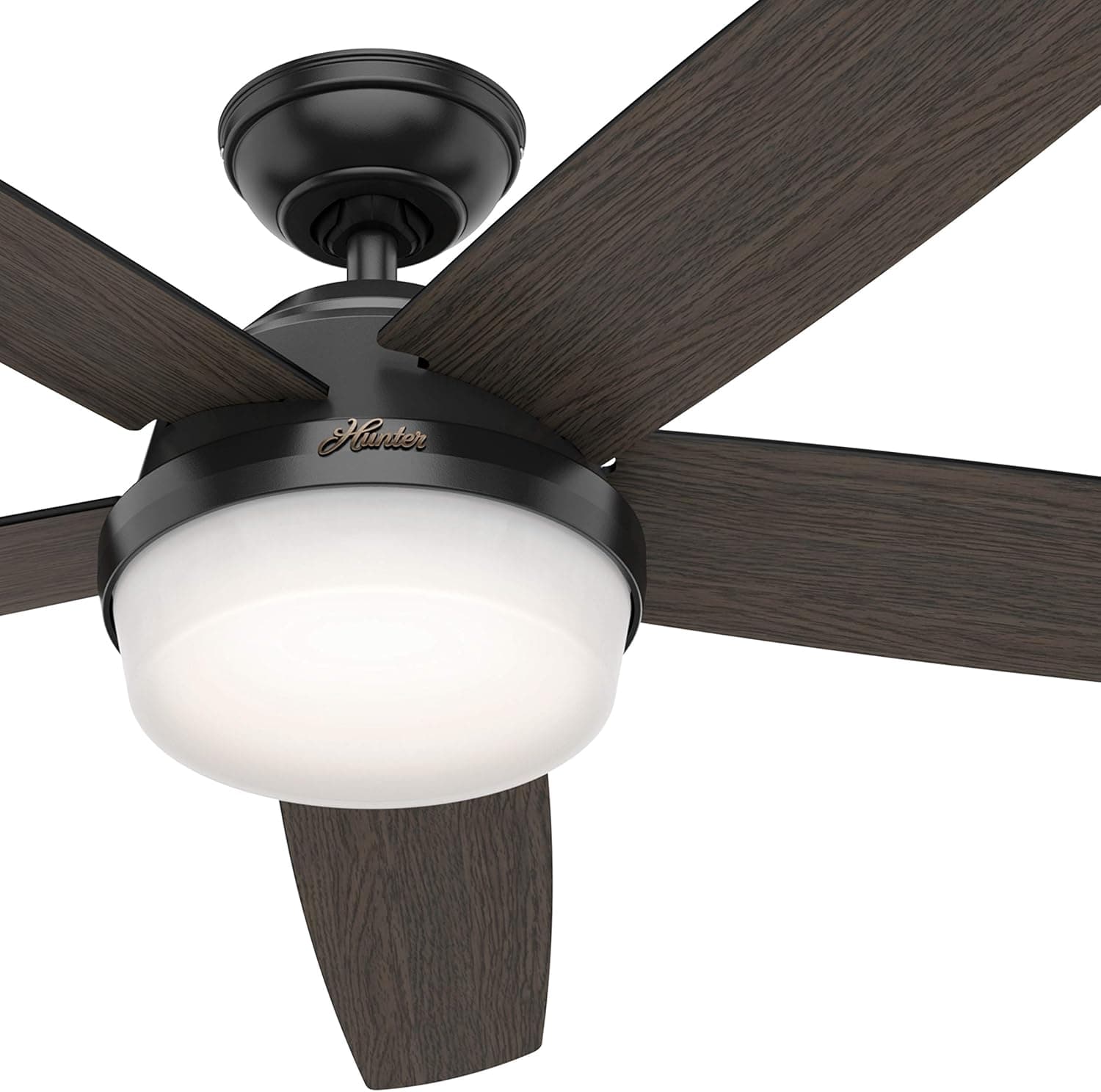 Hunter Fan 60 inch Contemporary Matte Black Indoor Ceiling Fan with Light Kit and Remote Control (Renewed)