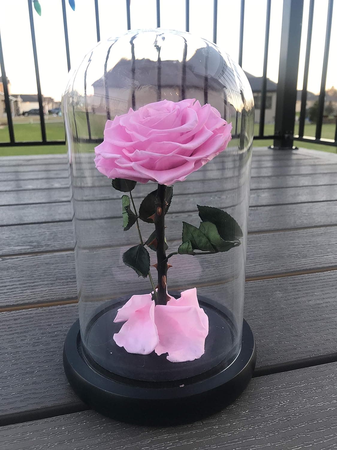 Dakotan Forever Rose -Eternal Rose with Real Fallen Petals - in Luxury Glass Dome with Wooden Base and Elegant Gift Box - Gift for Valentine's Day Mother's Day Wedding Anniversary Birthday(Pink)