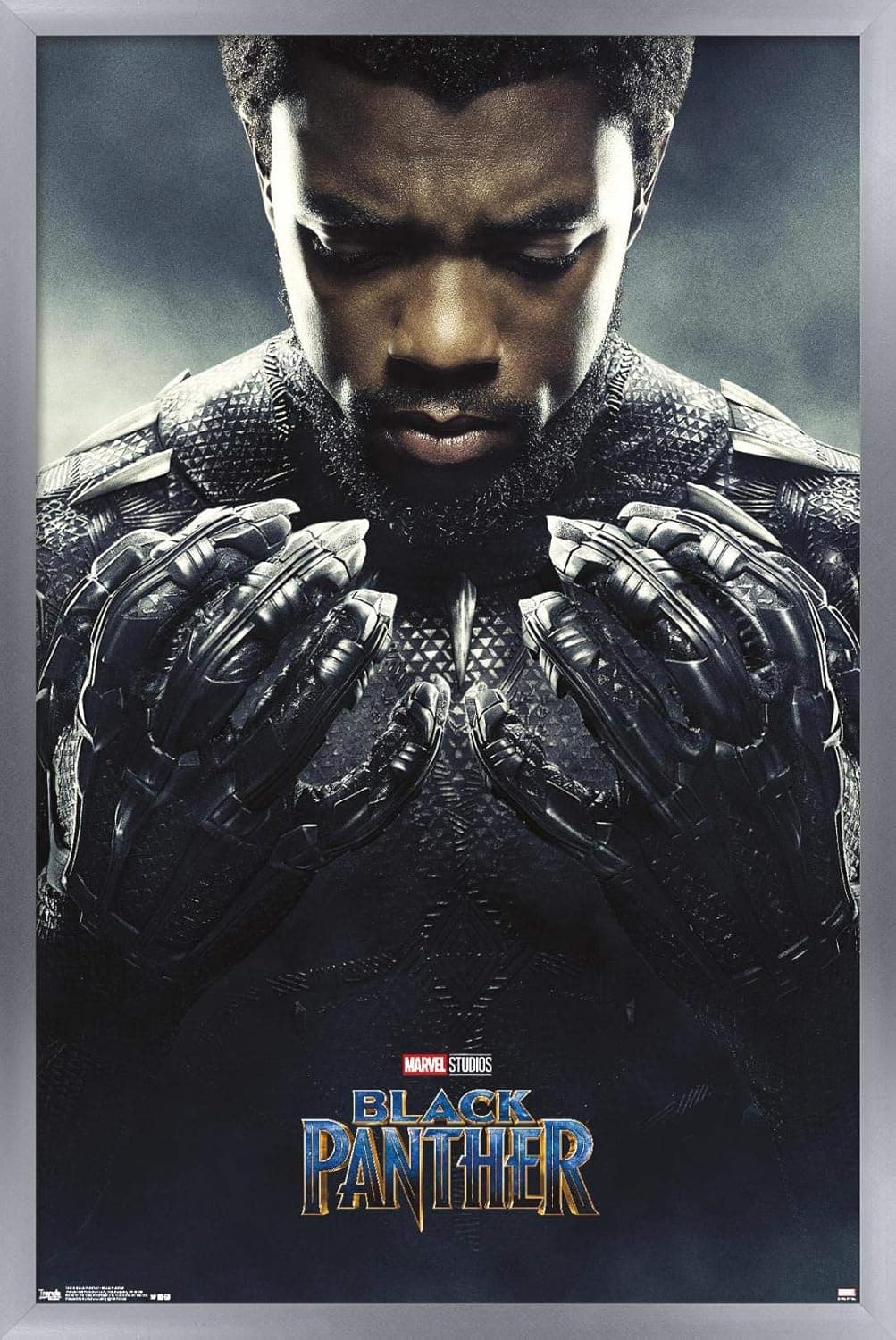 Trends International Marvel Cinematic Universe Black Panther - One Sheet Wall Poster, 22.375" x 34", Silver Framed Version