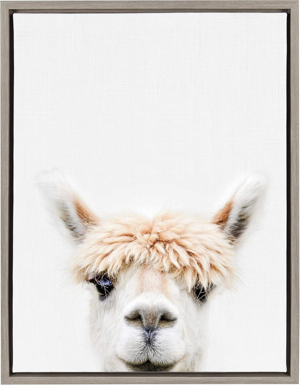 Kate and Laurel Sylvie Alpaca Bangs Animal Print Portrait Framed Canvas Wall Art by Amy Peterson, 18x24 Gray