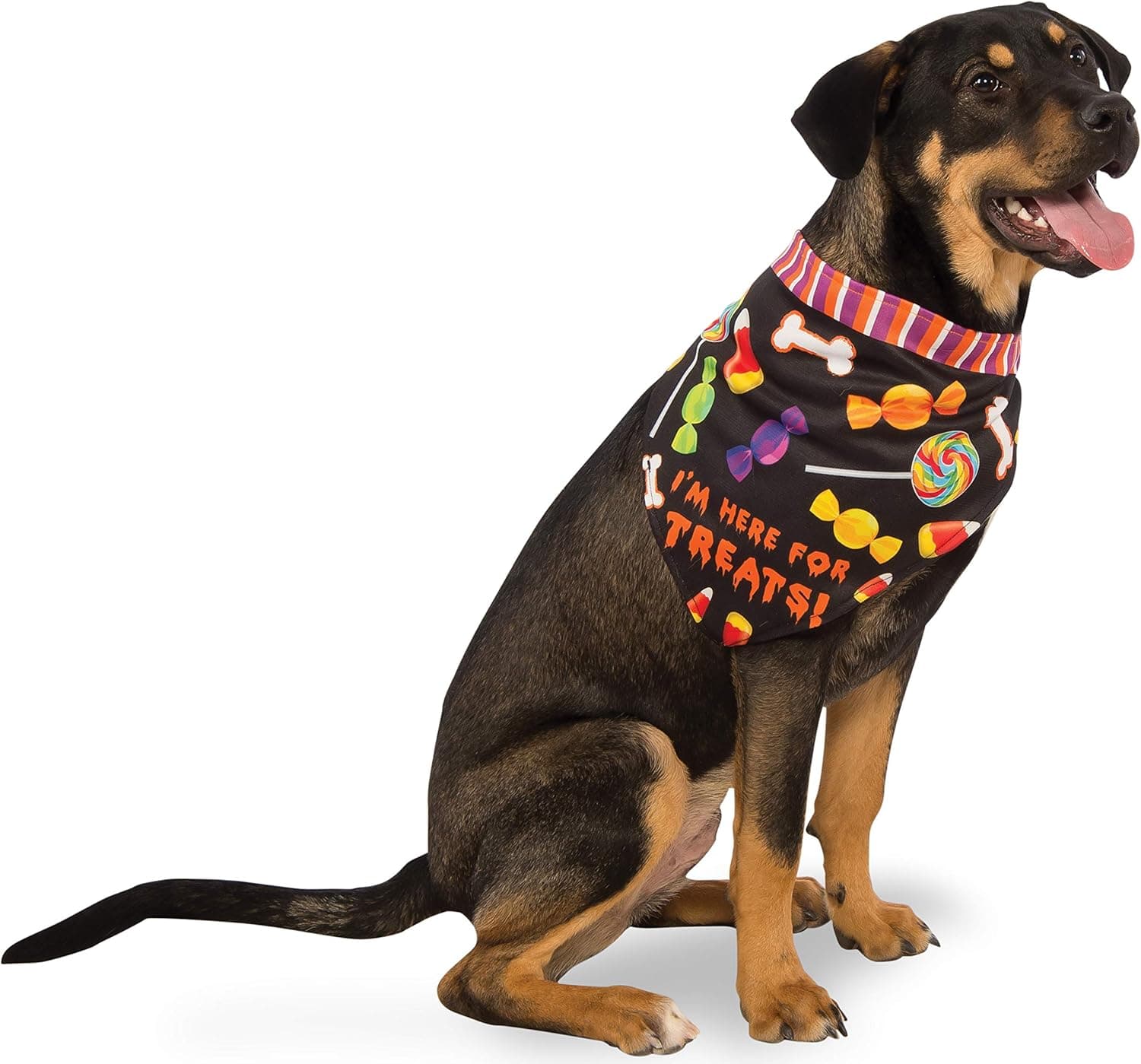 Rubie's Here For The Treats Dog Bandana, M-L