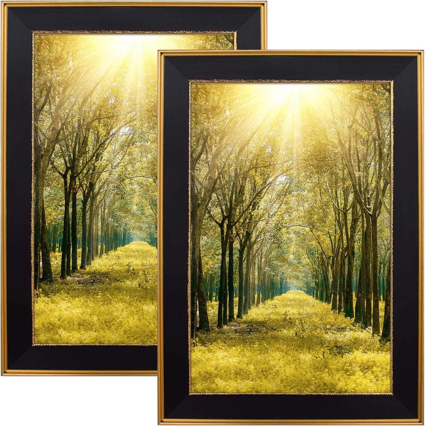 Space Art Deco, 11x17 Classics Gold Design Black Picture Frame - Photo/Picture/Poster Display - Sawtooth Hangers and Wall Mount Shatter-Resistant Glass (Classic Gold Design, 2 Pack)