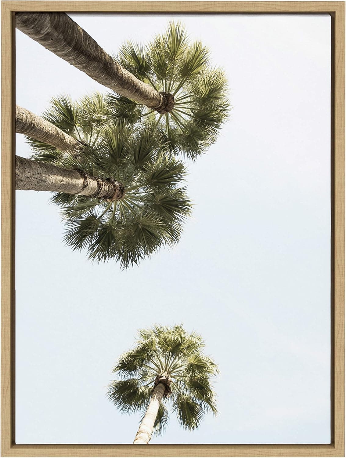 DesignOvation Sylvie Palm Trees Above Canvas Wall Art by Shawn St. Peter, 18x24 Natural, Beach Inspired Coastal Home Decor