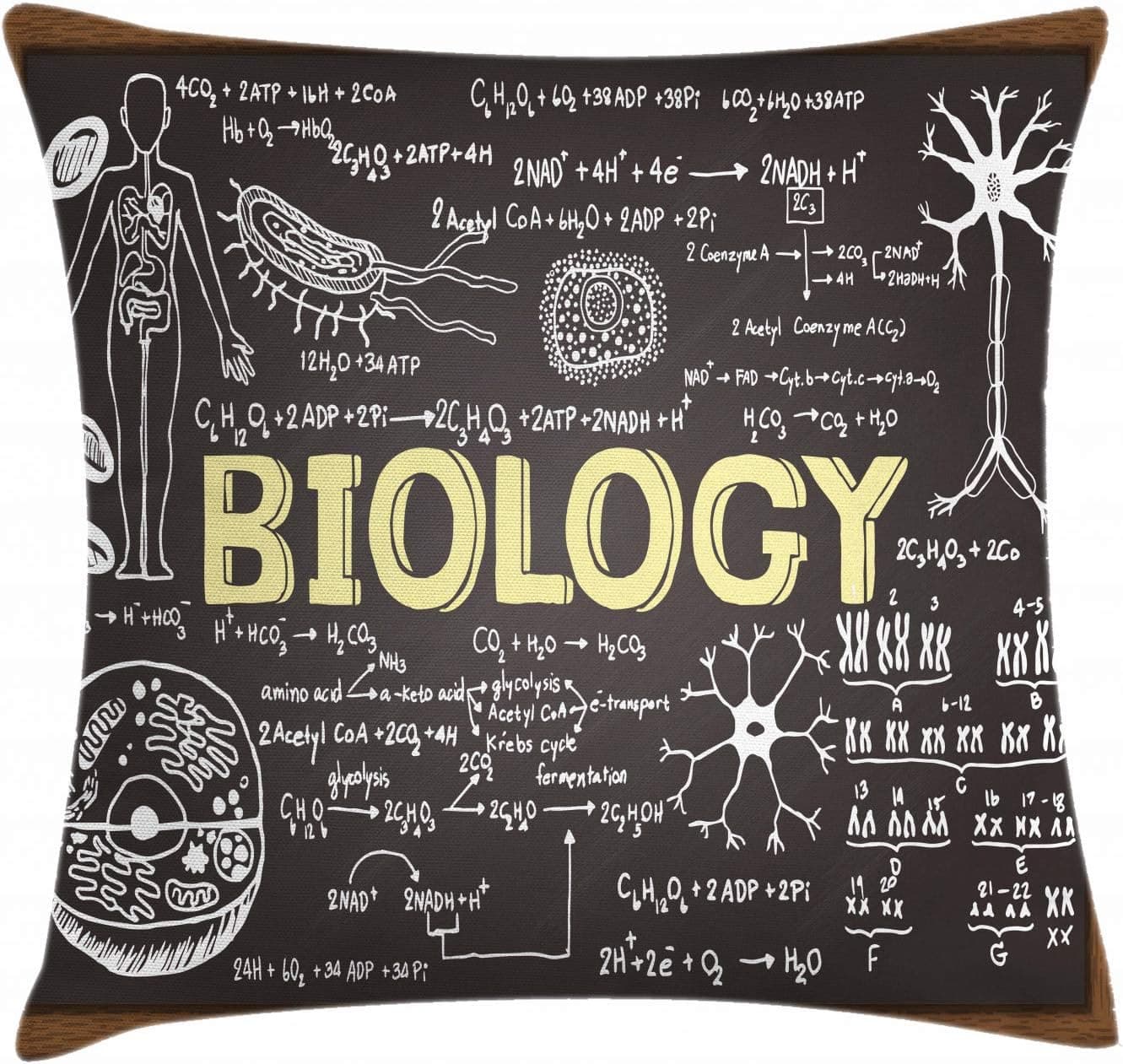 Ambesonne Science Throw Pillow Cushion Cover, Black Chalkboard Biology Hand Written, Decorative Square Accent Pillow Case, 16" X 16", Black Brown Pale Yellow