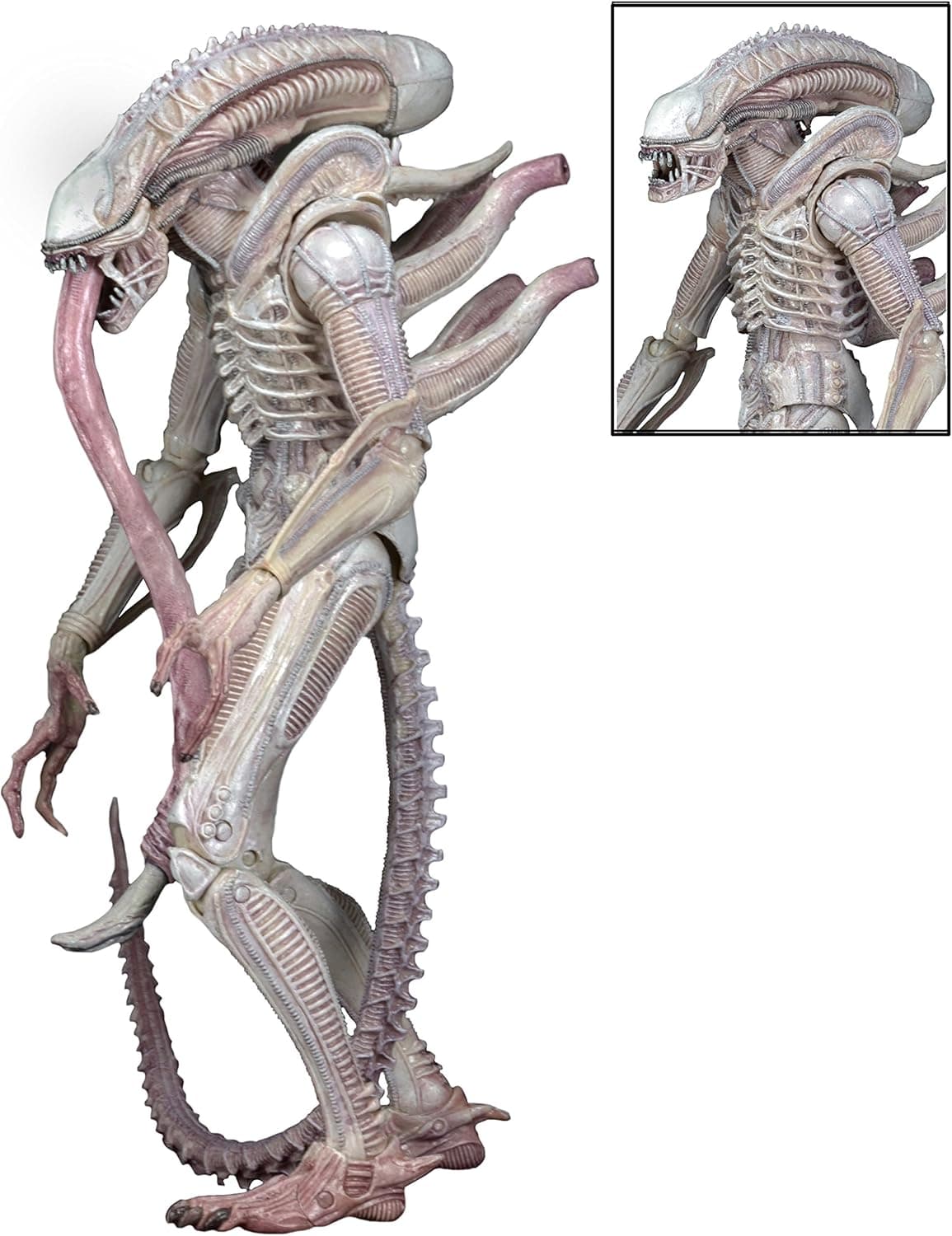 NECA Aliens 7" Scale Series 9 Xenomorph ALBINO Drone Action Figure