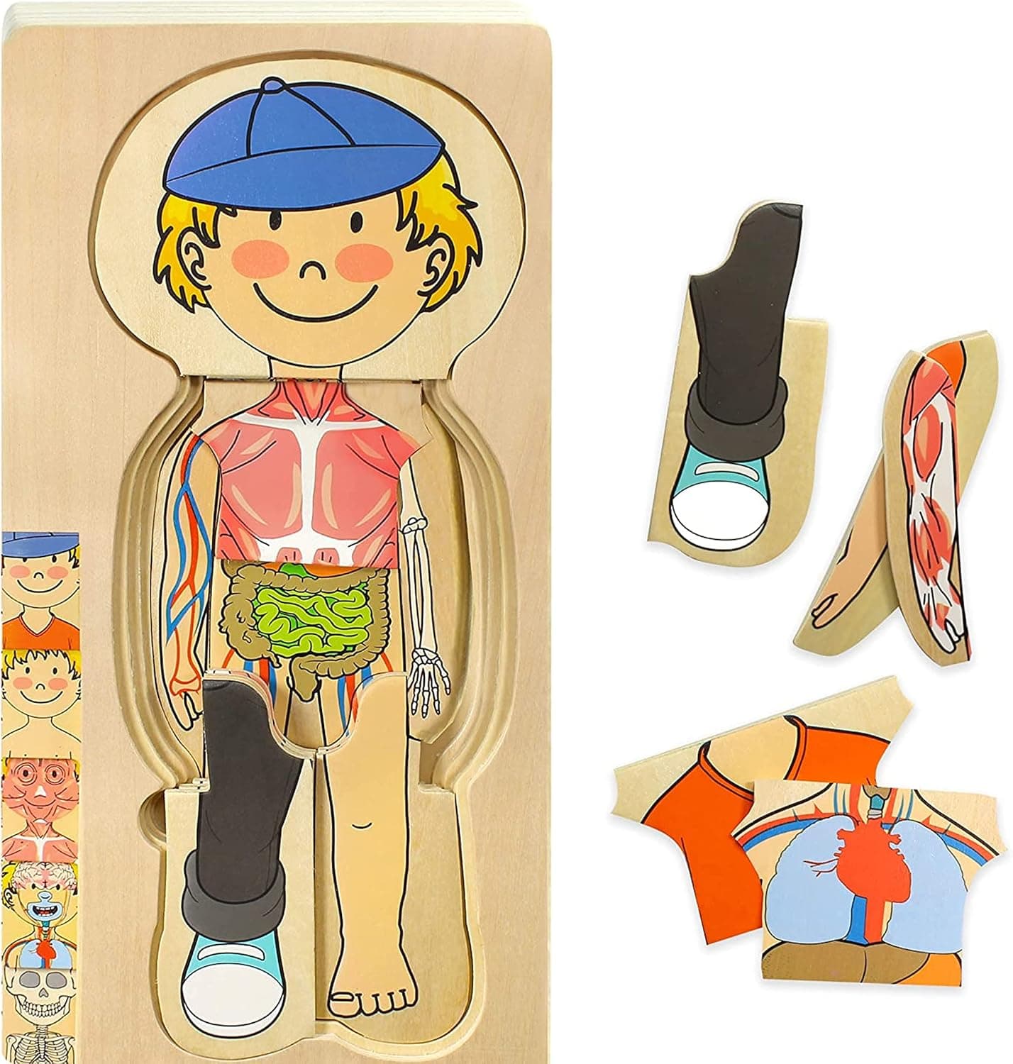 Kidzlane Boy Wooden My Body Puzzle for Toddlers & Kids - 29 Piece Boys Anatomy Puzzle Kid Play Set - Anatomy for Kids, Skeleton Toys for Kids Ages 3 Plus