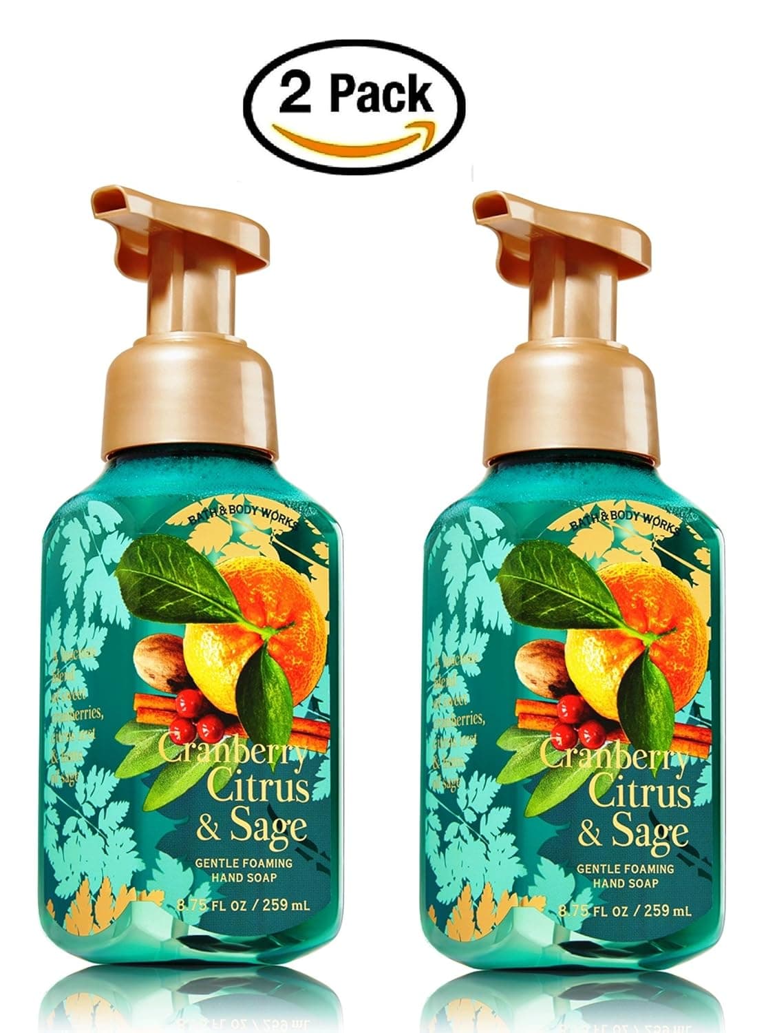Bath & Body Works Cranberry Citrus and Sage Hand Soap - Pack of 2 Cranberry Citrus Sage Gentle Foaming Holiday Hand Soaps
