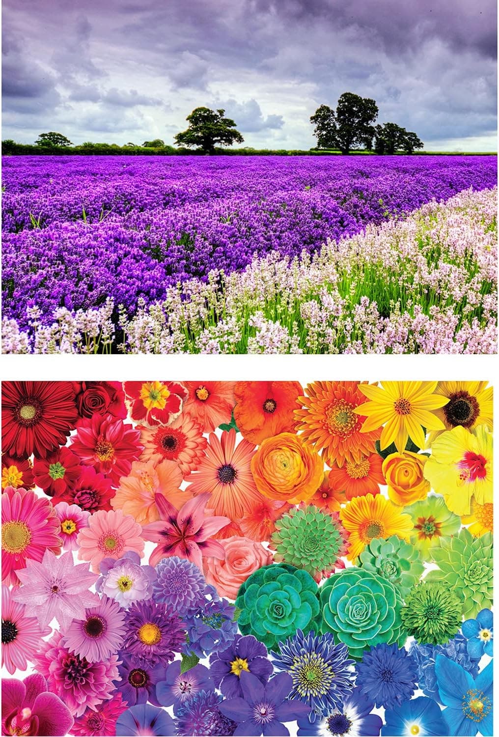 Jigsaw Puzzle, One Box of Value Set of Two Jigsaw Puzzle Sets - Each Puzzle Measures 27.55" X 19.69"- 1000 pc Rainbow Flowers - 1000 pc Lavender
