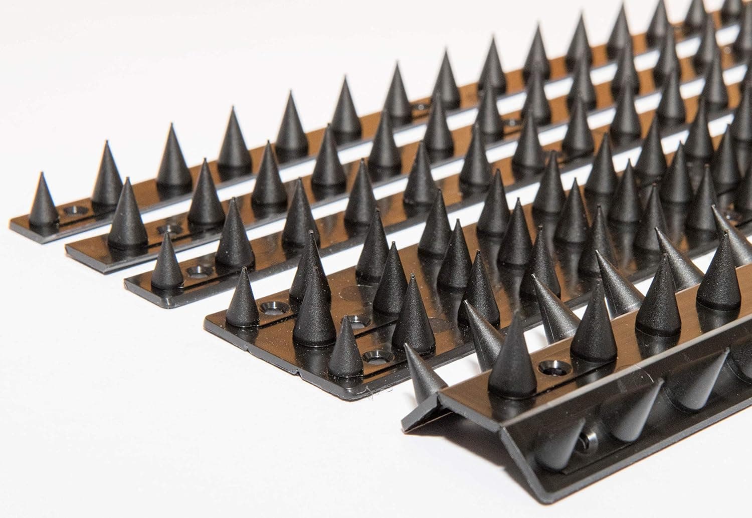 the Cactus Fence Wall Spikes: Pack of 20 (9.0M to 27M) ? Black