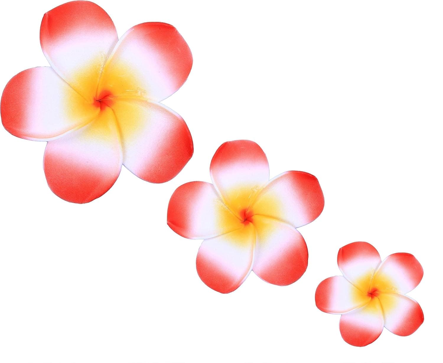 LD DRESS Plumeria Hawaiian Foam Frangipani Flower For Wedding Party Decoration Package (Watermelon red)