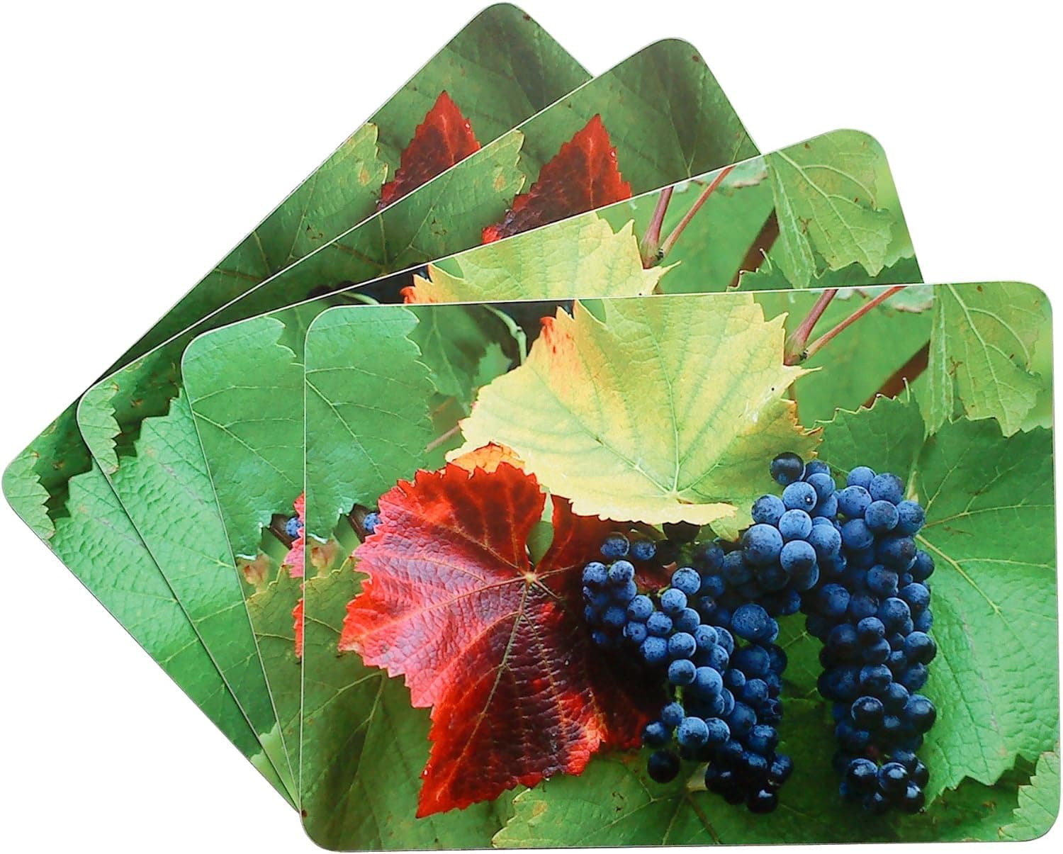 Textiles Plus Inc, Cork Back Placemat, Set of 4, Grape