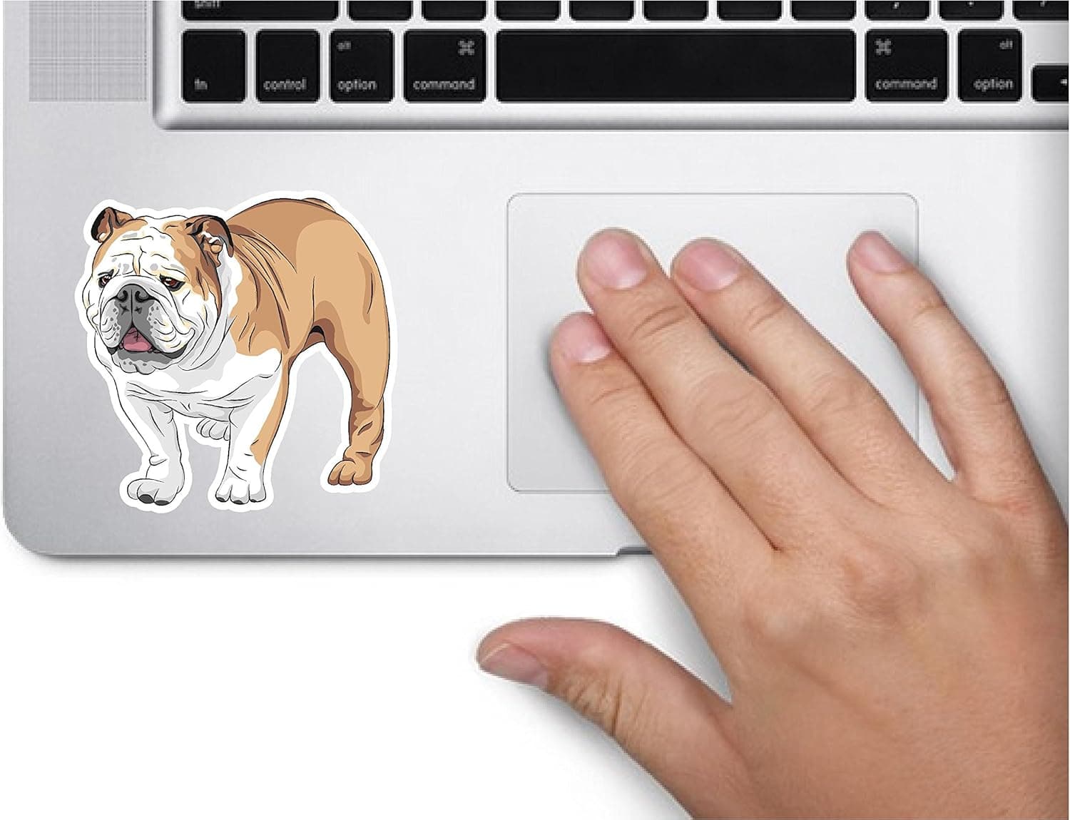 Dog #2 English Bulldog 3.5x3.5 inches Sticker Decal die Cut Vinyl - Made and Shipped in USA