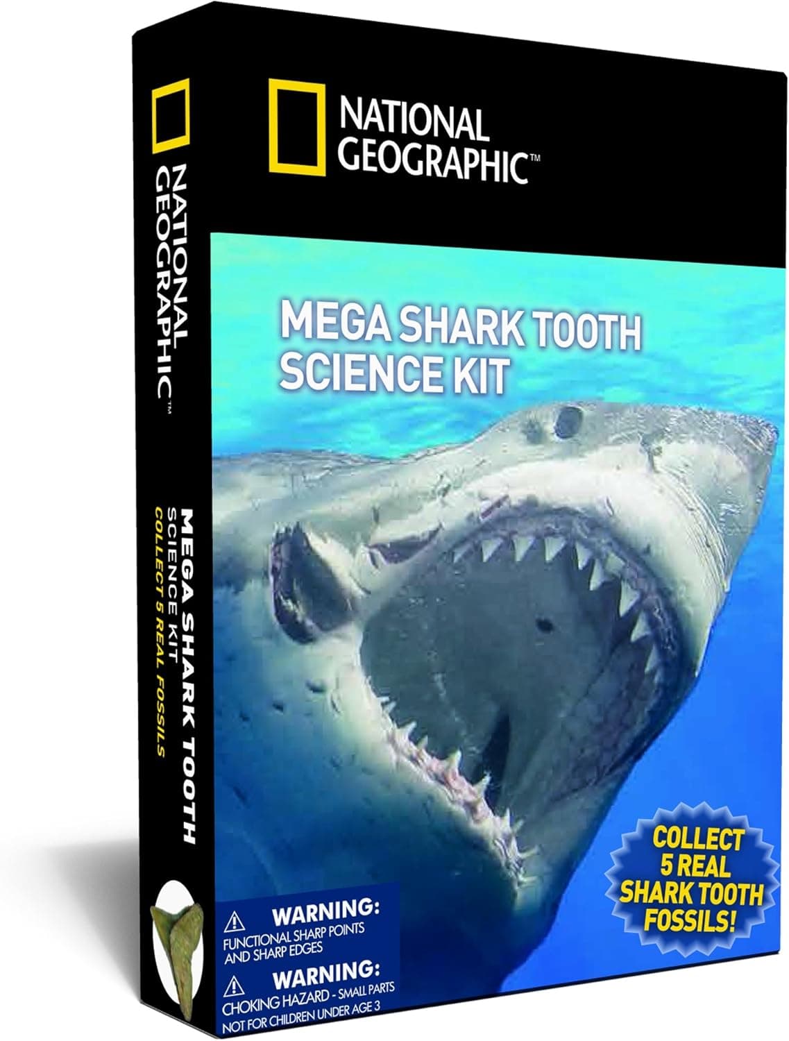 NATIONAL GEOGRAPHIC Mega Shark Tooth Science – Collect 5 Real Shark Teeth