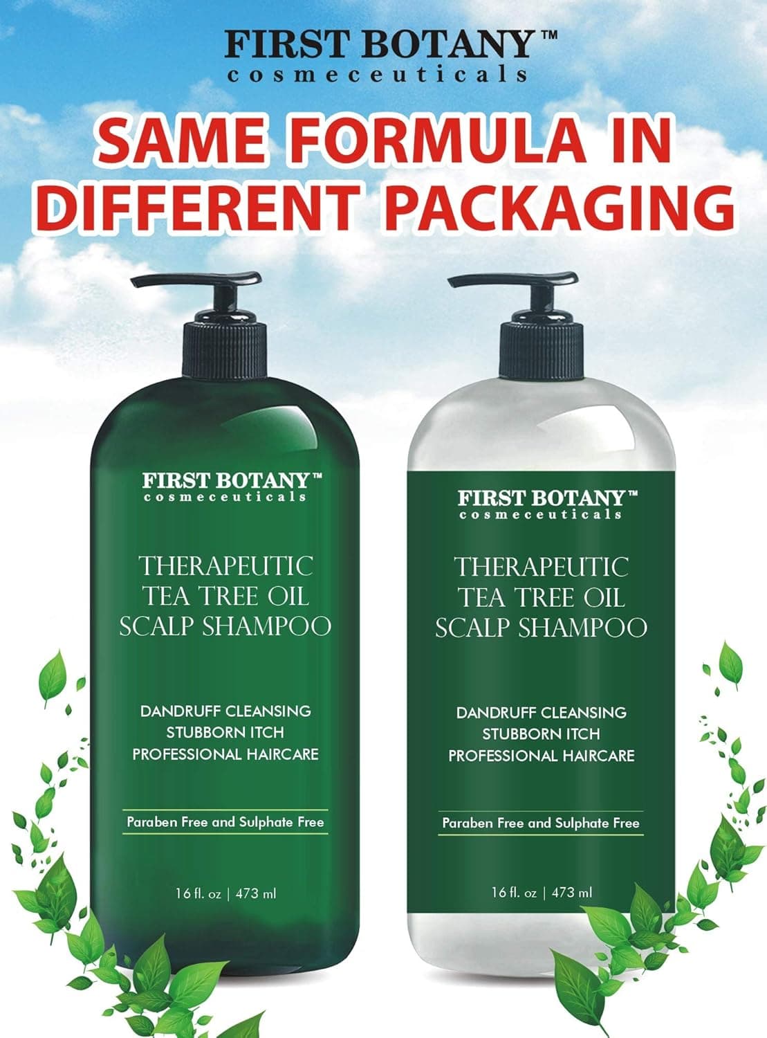 Tea Tree Oil Shampoo 16 fl oz - Anti Dandruff Shampoo Natural Essential Oil For Dry Itchy & Flaky Scalp - Sulfate Free, Anti-fungal, Anti-Bacterial Cleanser - Prevents Head Lice & Thinning