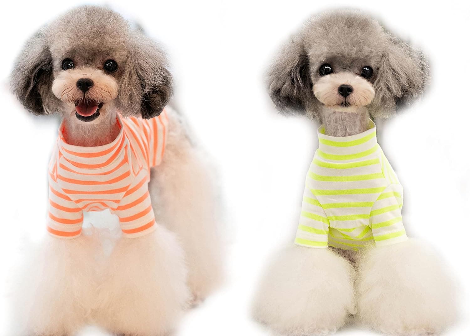 KILLUA 2-Pack Dog Shirt 100% Cotton High Collar with Elasticity Bright Stripes Pet Clothes,T-Shirts Cat Tee Breathable (2Pack (Orange+Yellow), Small)