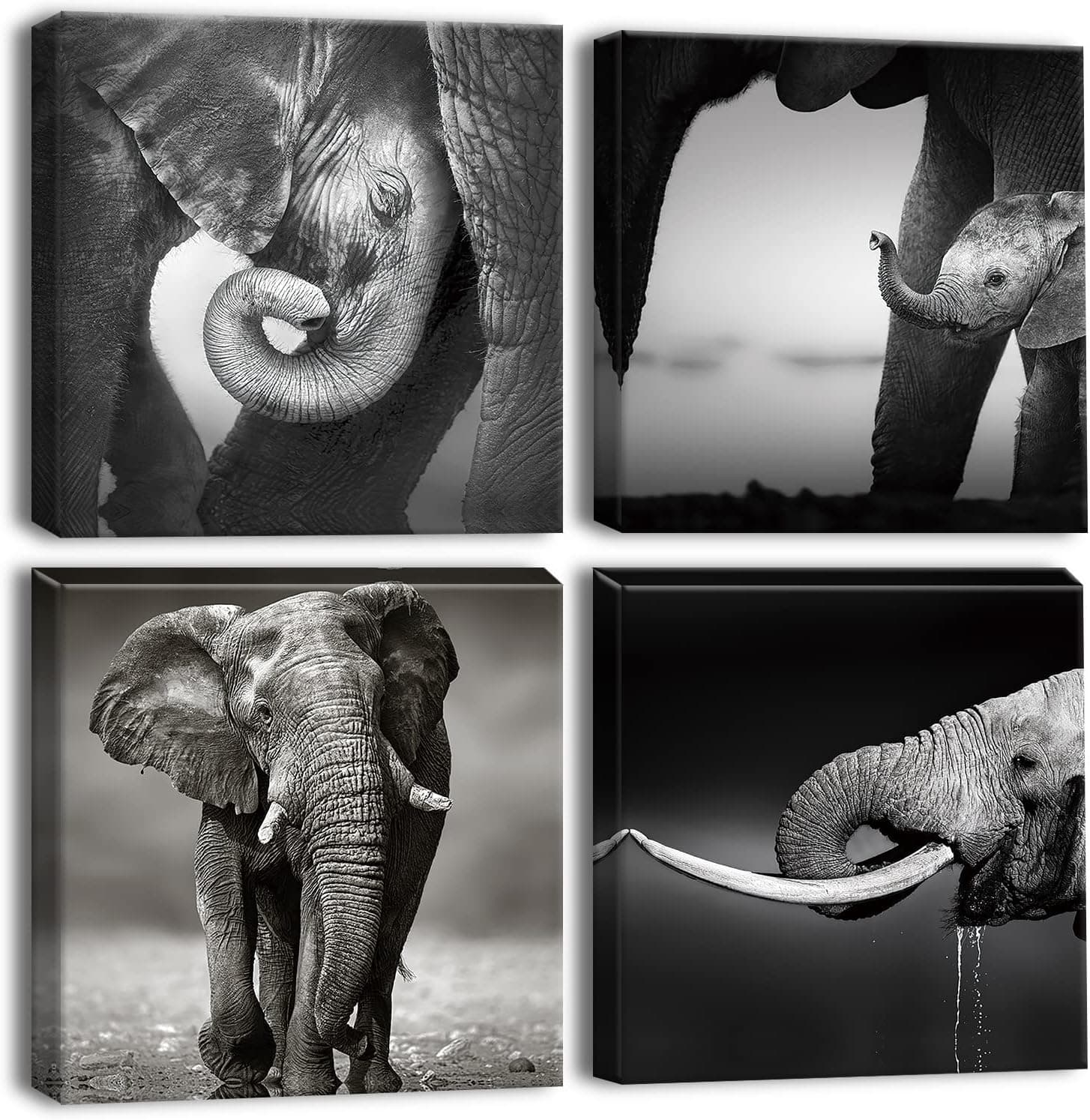 OTOSTAR 4 Pieces Wall Art Canvas Prints - Grey-Elephant Family - Picture Painting - Modern Wall Artwork Framed for Gifts Bathroom Home Kitchen Office Decor - 12 x 12 Inch