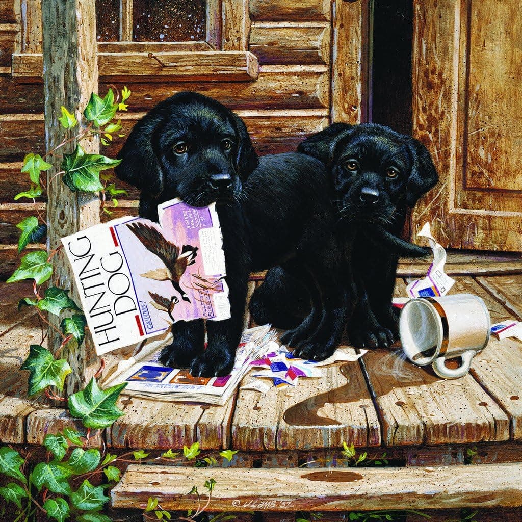 Cabin Fever 300 pc Jigsaw Puzzle by SunsOut