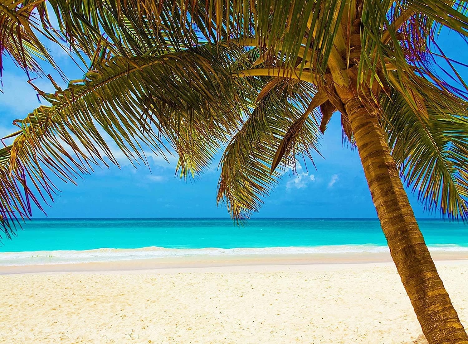 Ufcell 1000 PCS Jigsaw Puzzle Relaxing Beach Ocean Coconut Palm Tree Scene Fun Game for Adult and Children