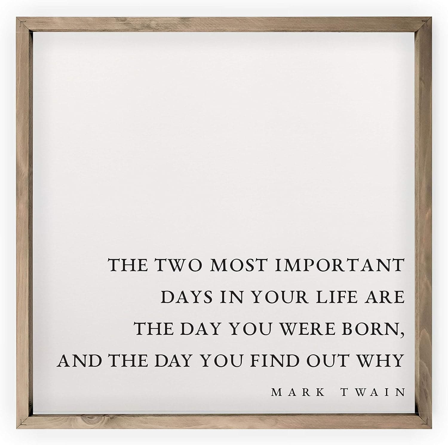 Two Most Important Days Framed Rustic Wood Farmhouse Sign 16x16