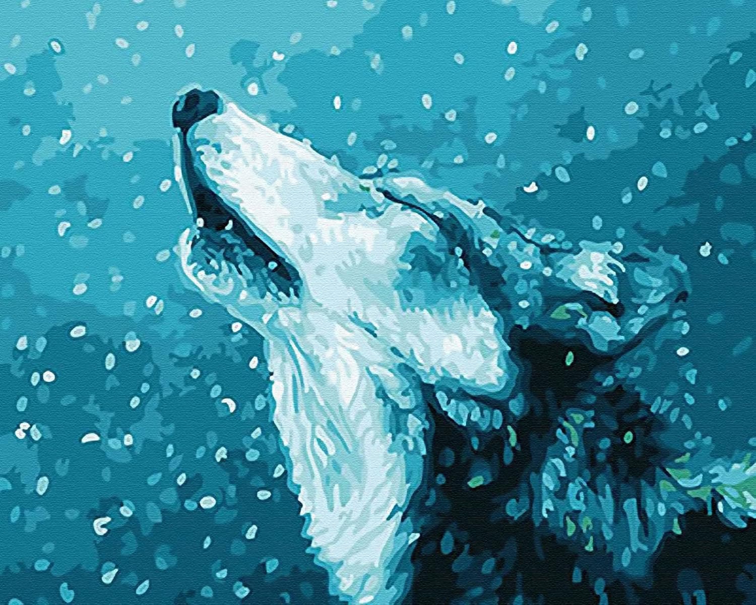 Grebesty DIY Paint by Numbers Kit for Adults, Adult Paint by Number Kits, White Wolf with 3 Brushes & Bright Colors 16x20 inch
