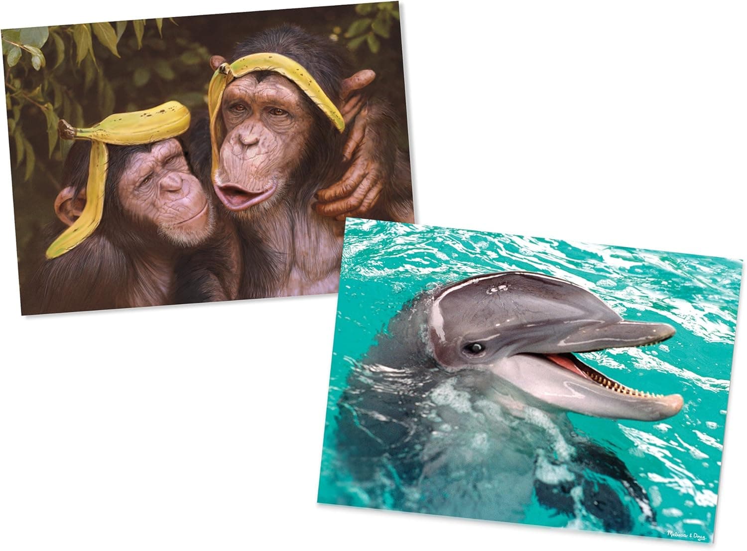Melissa & Doug Animals Jigsaw Puzzles Set - Chimps and Dolphin (60 pcs each)