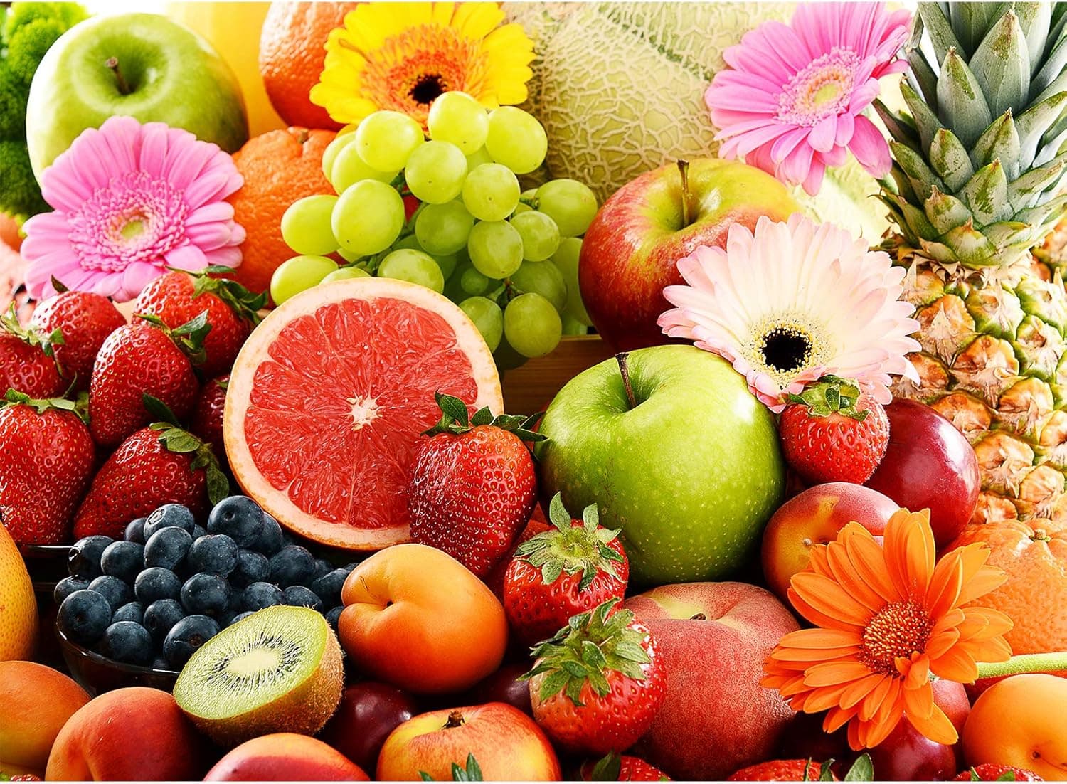 GamePath Jigsaw Puzzles - Summertime - 500 Piece Colorful Fruit Puzzle (Fruit-500pc)