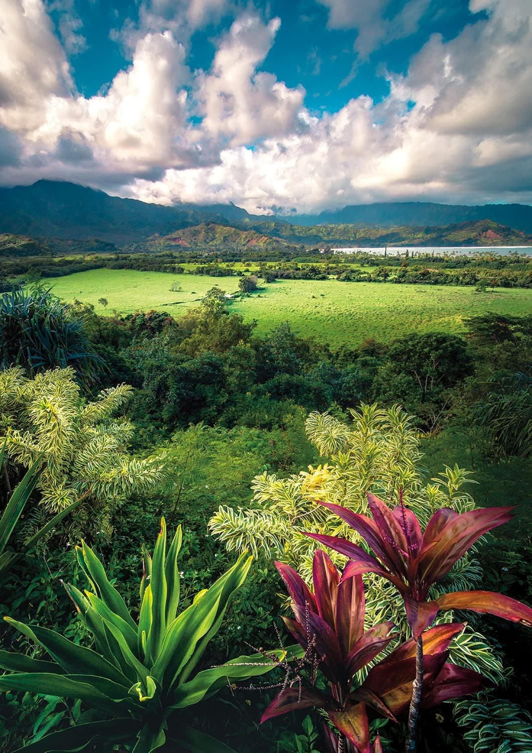 Buffalo Games - Gold - Kauai Clouds - 300 Large Piece Jigsaw Puzzle