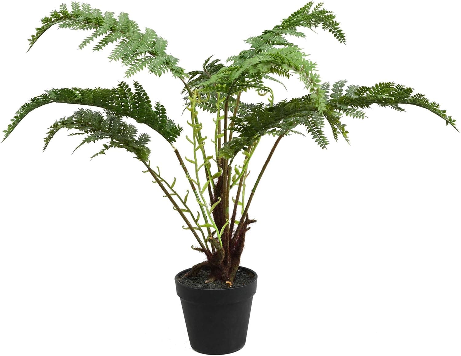 Vickerman Everyday 20" Indoor Artificial Green Fern - Black Plastic Pot - Decorative Lifelike Plant of Durable Polyester Greenery for Home Or Office - Maintenance Free