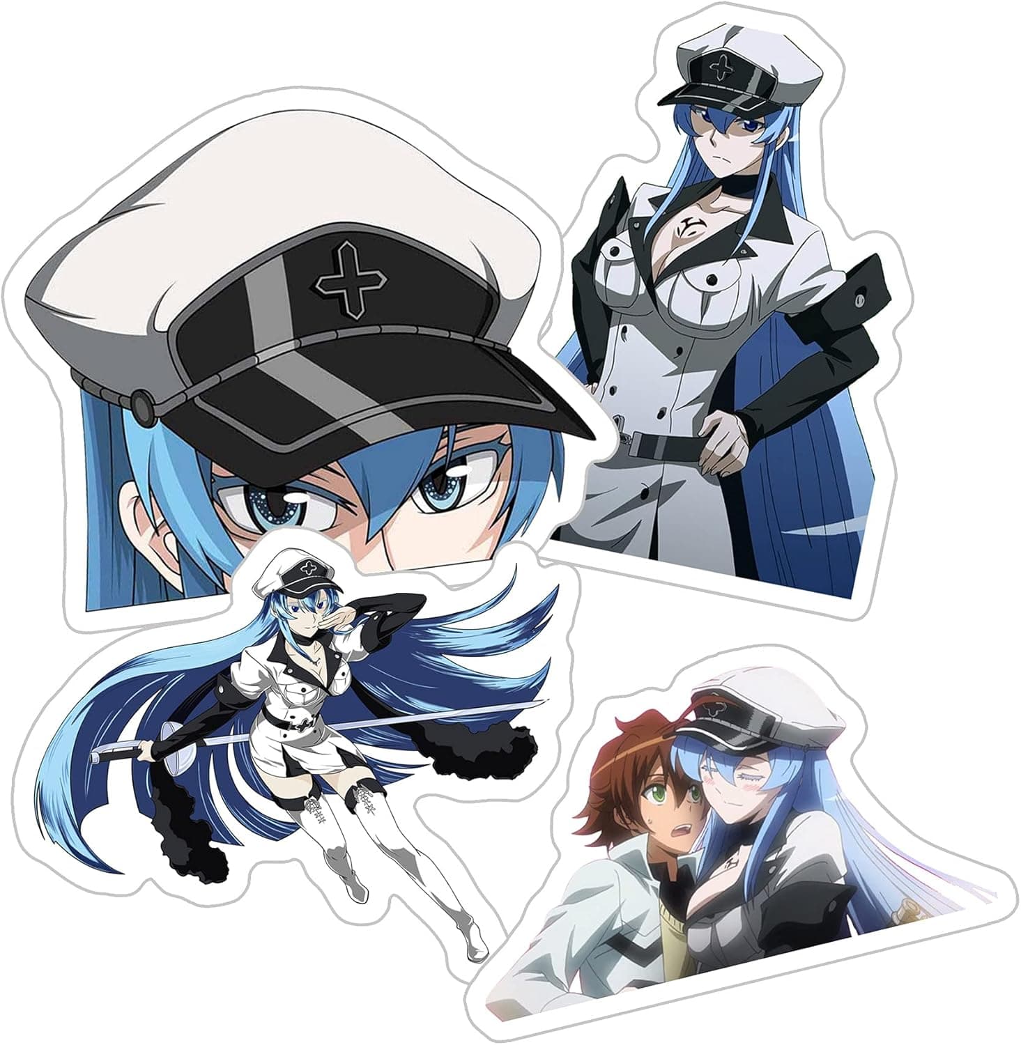 Alexiss Akame Ga Kill Esdeath Girl Cute Sticker for Phone, Laptop, Skateboard, Car Colorful Sticker Pack 4 Pcs Size 3inch