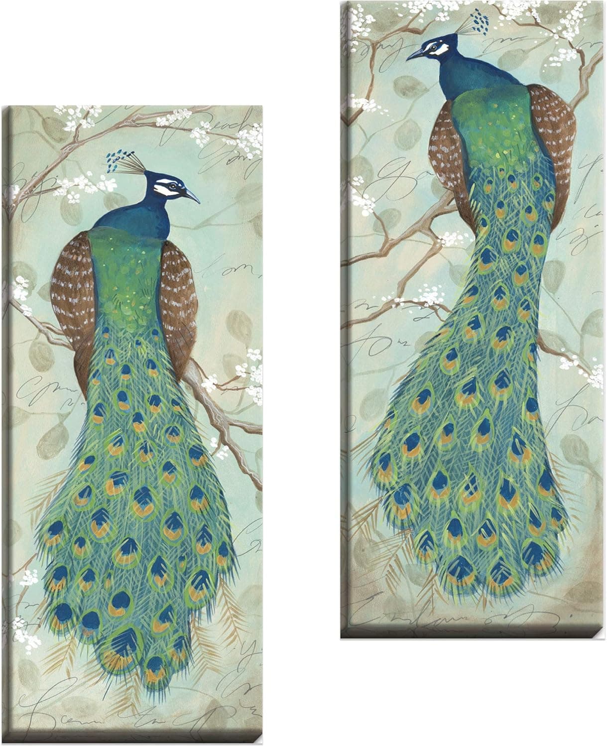 2 Roosting Peacock Art Prints Exotic Animal Home Decor 6x18 (8x20 Stretched Canvas)