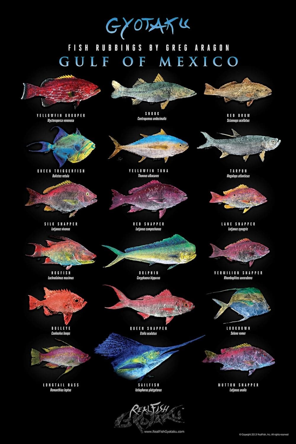 Realfish Poster, Fish of The Gulf, 24"x36" Gyotaku